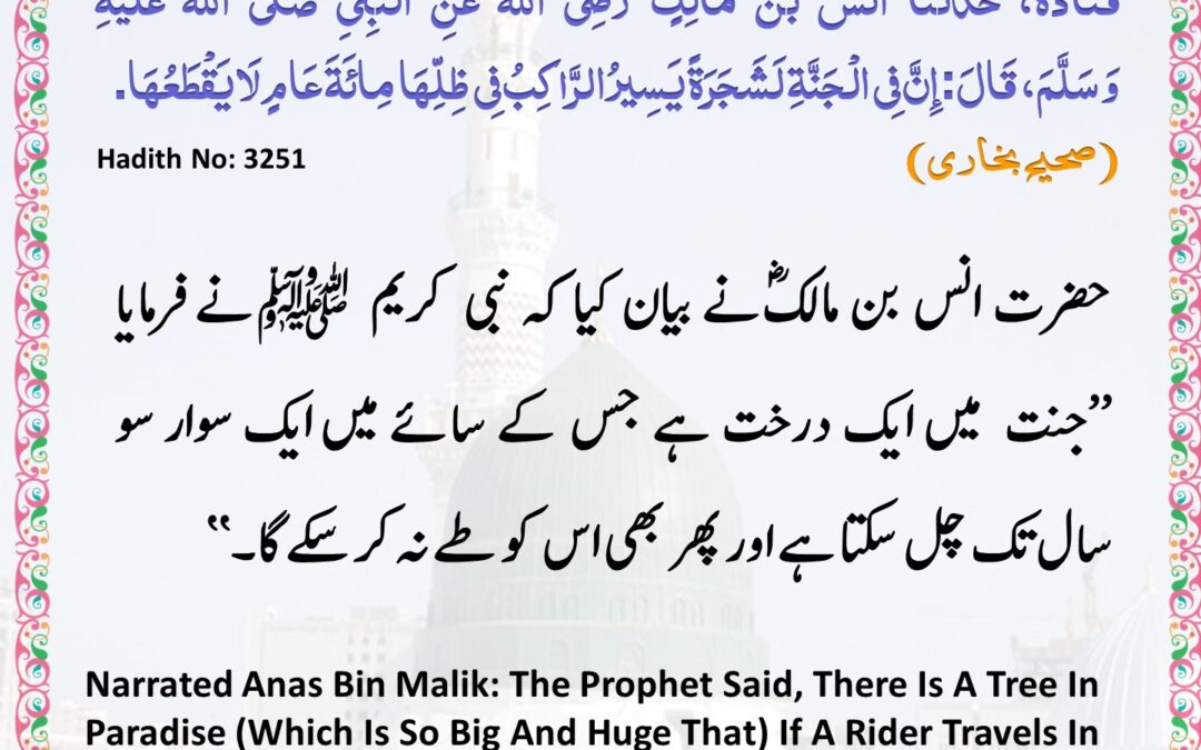 Sahih Bukhari – 3251