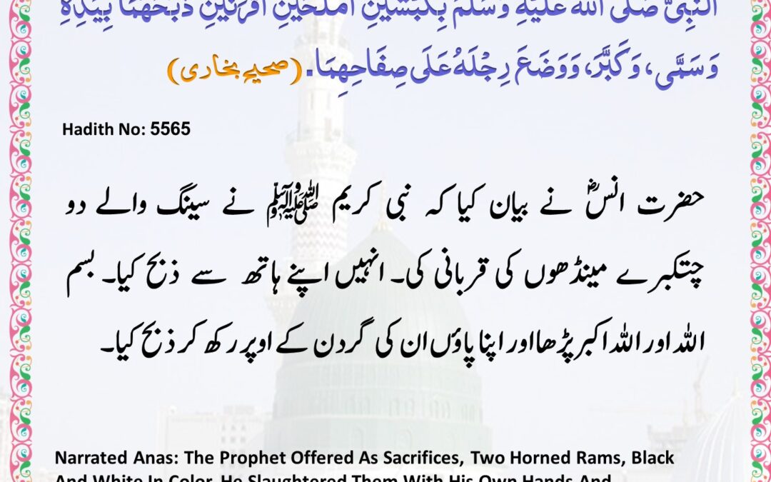 Sahih Bukhari – 5565