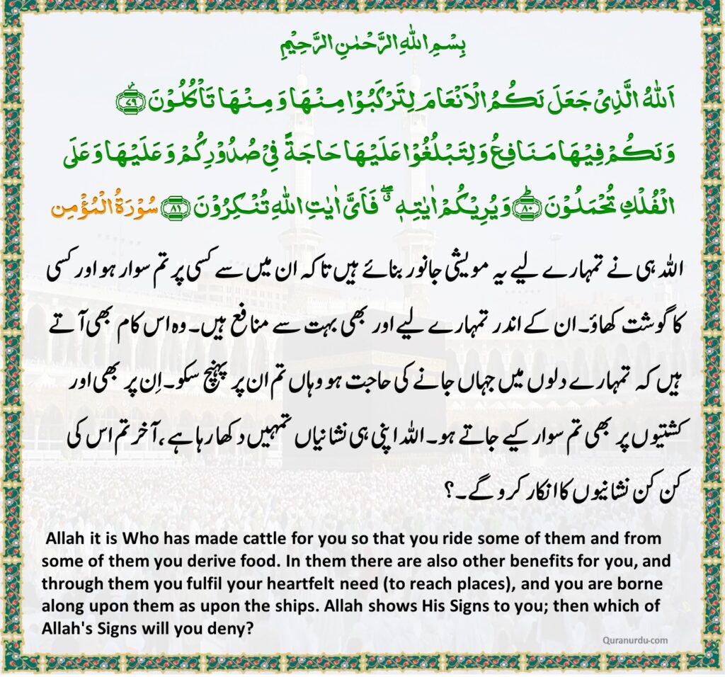 Surah Al Momin – Ayah 79 – 81 | Daily Quran and Hadith - QuranUrdu.com