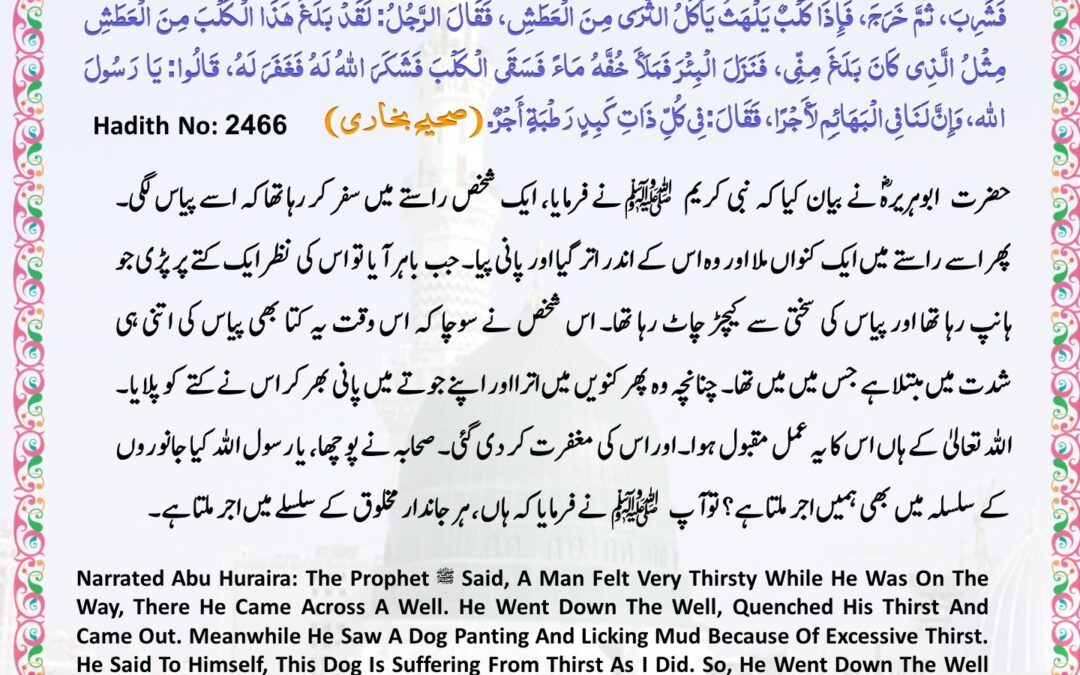 Sahih Bukhari – 2466