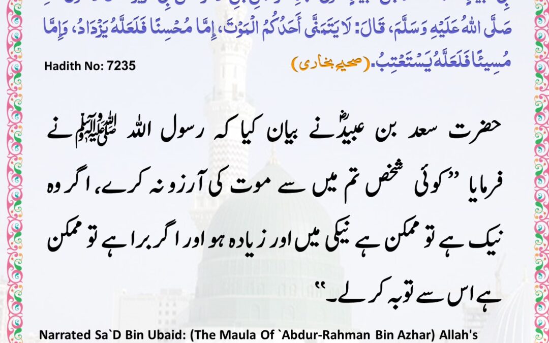 Sahih Bukhari – 7235