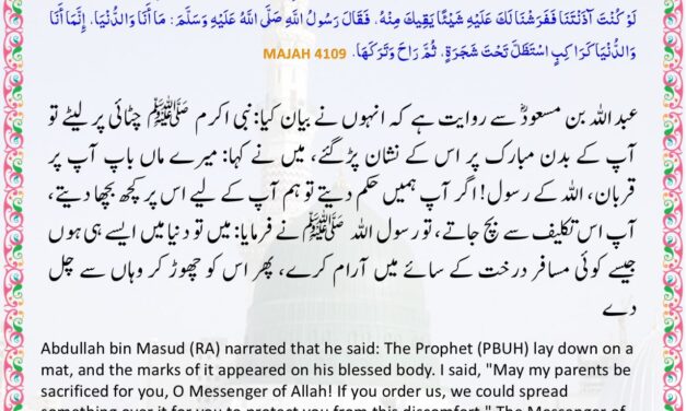 Sunan Ibn Majah – 4109