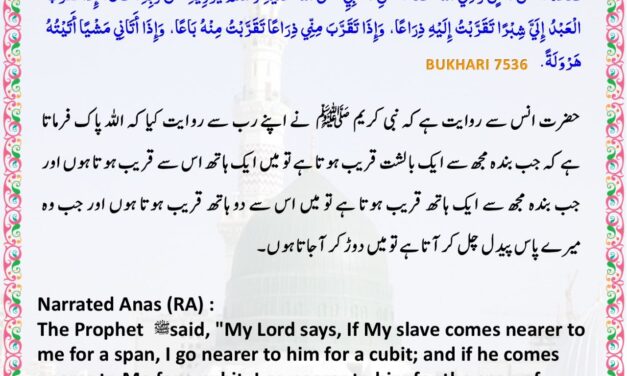 Sahih Bukhari – 7536