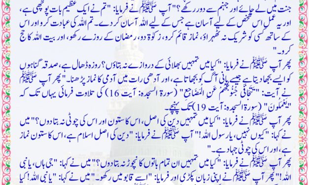 Jamia Tirmizi – 2616