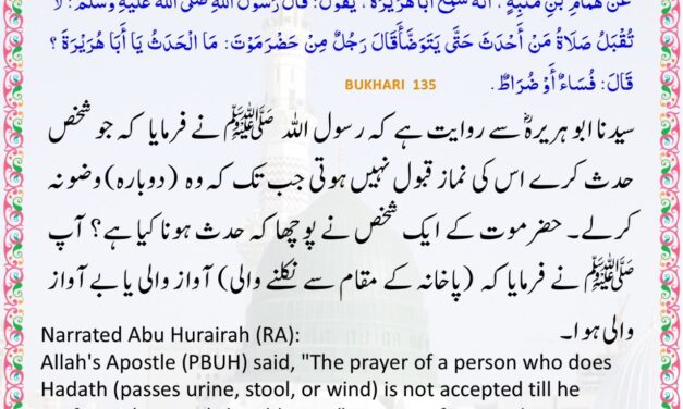 Sahih Bukhari – 135