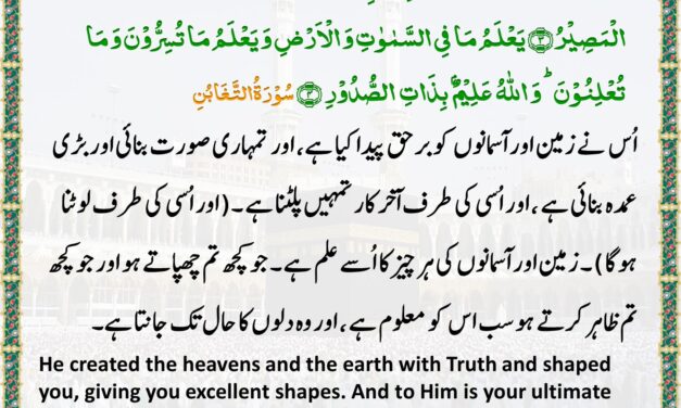 Surah At-Taghabun – Ayah 3-4